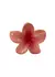 Broche Hawaiano Coral - comprar online