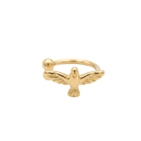 Piercing Fake Dourado Espírito Santo