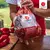 Pollo entero Las Camelias Fresco (precio por 20 KG) en internet