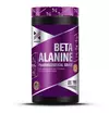 Xtrenght Beta Alanina 180 Capsulas