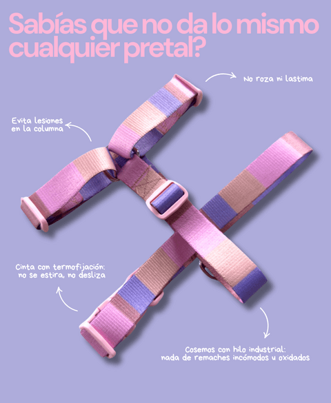 Carrusel 1