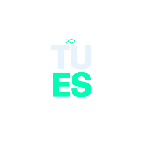 Agência Tu és
