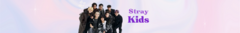 Banner da categoria Stray Kids