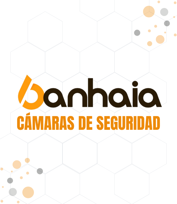 VIDEOVIGILANCIA