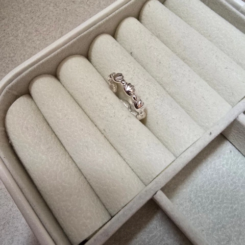 ANEL ORGÂNICO CONCHAS REGULÁVEL