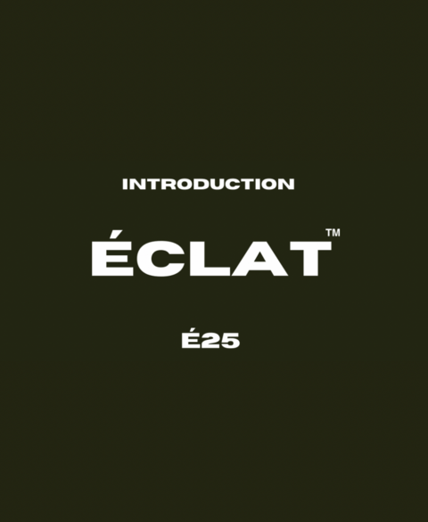 Imagem do banner rotativo Éclat
