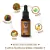 Kit para barba - Shampoo + Balm + Óleo - Muchacho Bay Rum - loja online
