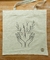 Totebags en internet