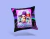 Almohadones GUERRERAS KPOP en internet