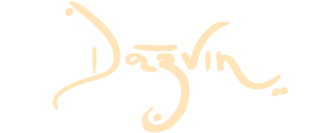Dazvin • Roupas Conscientes