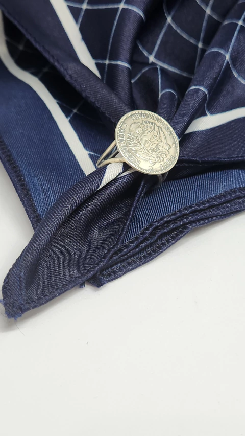 PASAPAÑUELO ESCUDO ARGENTINO