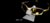 Banner de Paizão das Lupas