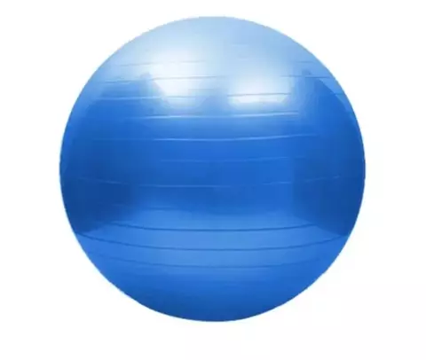 Pelota De Esferodinamia Reforzada 65cm - comprar online