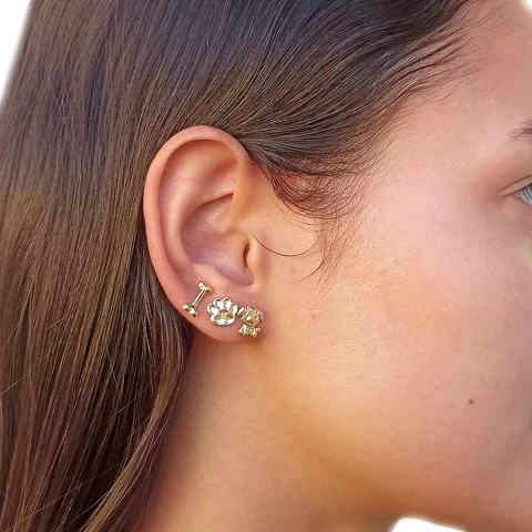 Kit Três Brincos de Pet com Osso, Cachorro e Patinha Folheado em Ouro 18K - comprar online