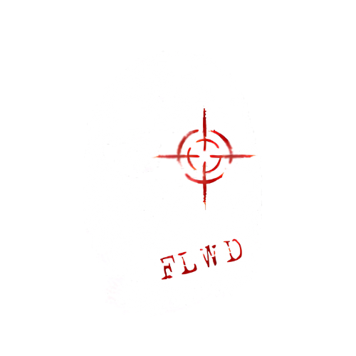 FLAWED CLTHS