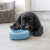 Brinquedo Kong Puppy Tires Pneu Grande P/ Cães - Azul na internet