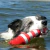KONG Lighthouse Rogz Brinquedo Flutuante Para Cachorro na internet