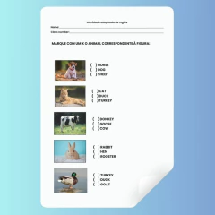 Atividades Adaptadas de Inglês na internet