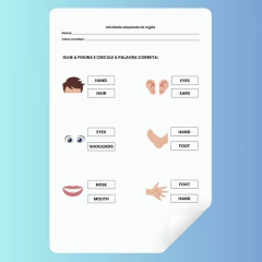 Atividades Adaptadas de Inglês - Clear English