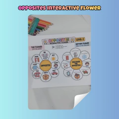 Opposites Interactive Flower - Clear English
