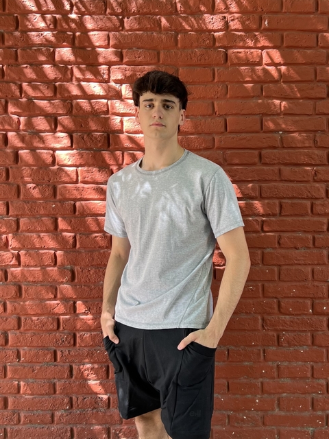 Remera Damián Gris Claro - comprar online