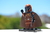 MANDALORIANO - NARANJA - comprar online