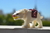 WARGO BLANCO - comprar online