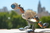WATCHER - HORIZON ZERO DAWN - comprar online