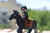 JOHN WICK en internet
