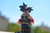 BARDOCK - comprar online