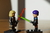 SABINE WREN - tienda online