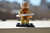 GENERAL DODONNA - comprar online