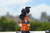 YAMCHA en internet