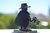 Imagen de SPIDER - MAN NOIR