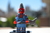 SPIDER - PUNK - comprar online