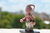 BUU - comprar online