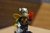 THE WASP - comprar online