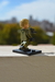 LUTHEN ROEL - comprar online