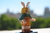 CARROT - comprar online