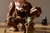 RANCOR - tienda online