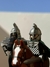 ROHIRRIM - Hanaminifiguras