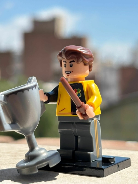 CEDRIC DIGGORY - comprar online