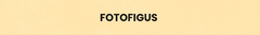 Banner de la categoría FOTOFIGUS
