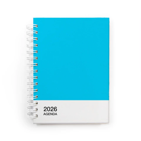 AGENDA 2026 - Pantone - comprar online