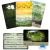 Forest Shuffle: Exploração (Expansão) - comprar online