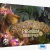 Spirit Island All In - LudoStation - Jogos de tabuleiro e TCG