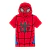 Conjunto SPIDER-MAN - comprar online