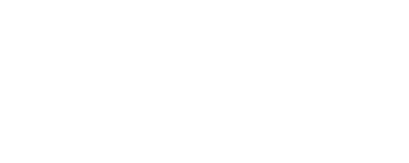 The Fantasy Shop