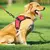 Pretal Arnés Acolchonado para Perros™ - CIBER TIENDA