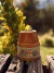 Mate Criollo Botánico - tienda online
